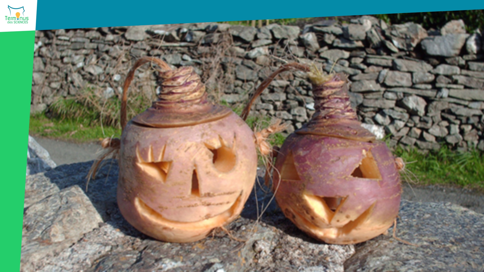 Read more about the article [Halloween depuis ses origines]