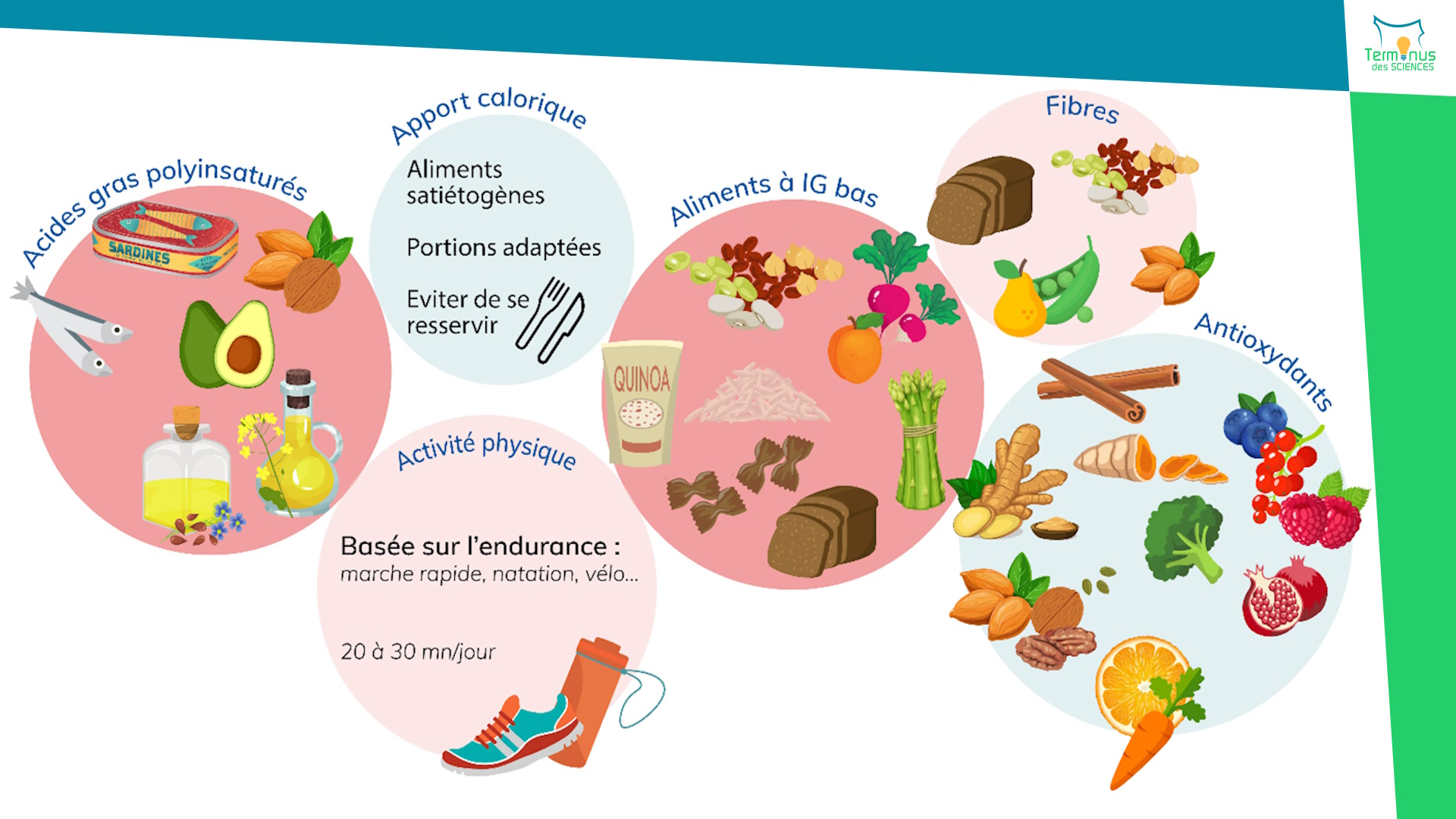 You are currently viewing [Le cholestérol a un nouvel adversaire]