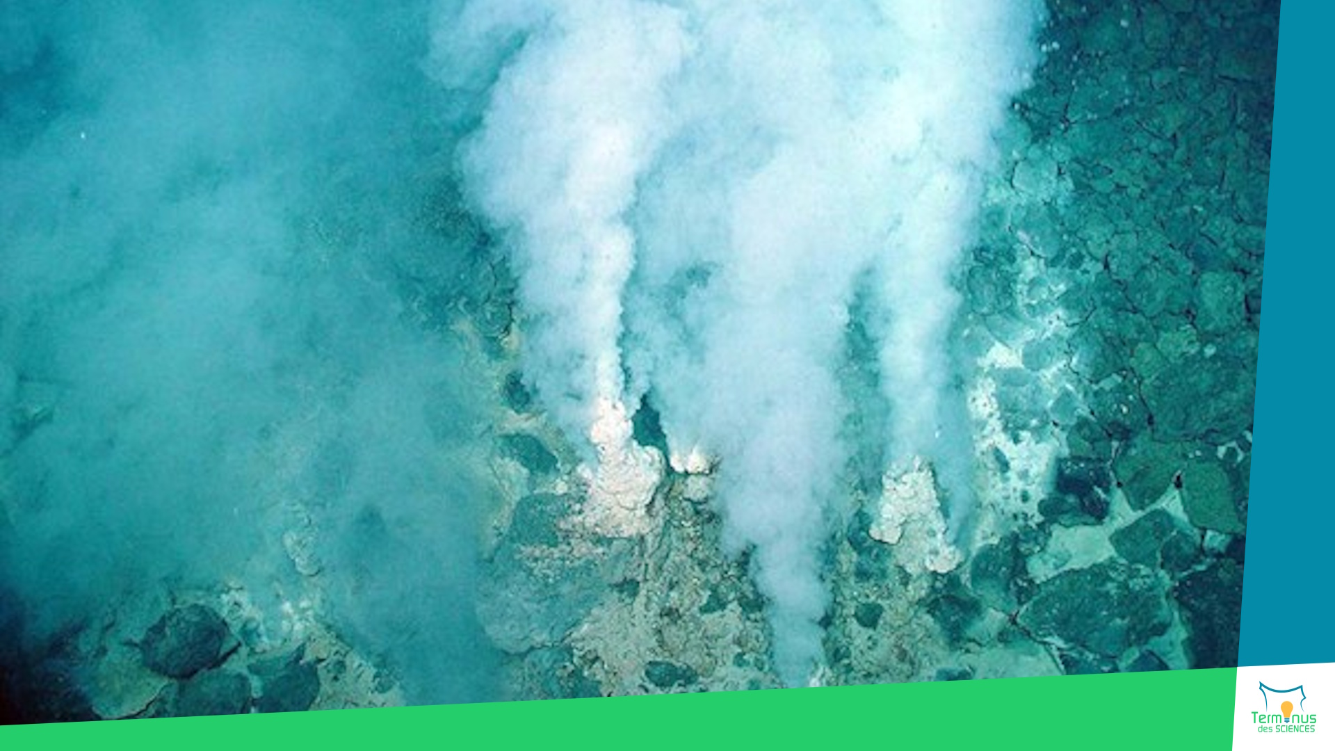 Lire la suite à propos de l’article [La vie auprès des sources hydrothermales]
