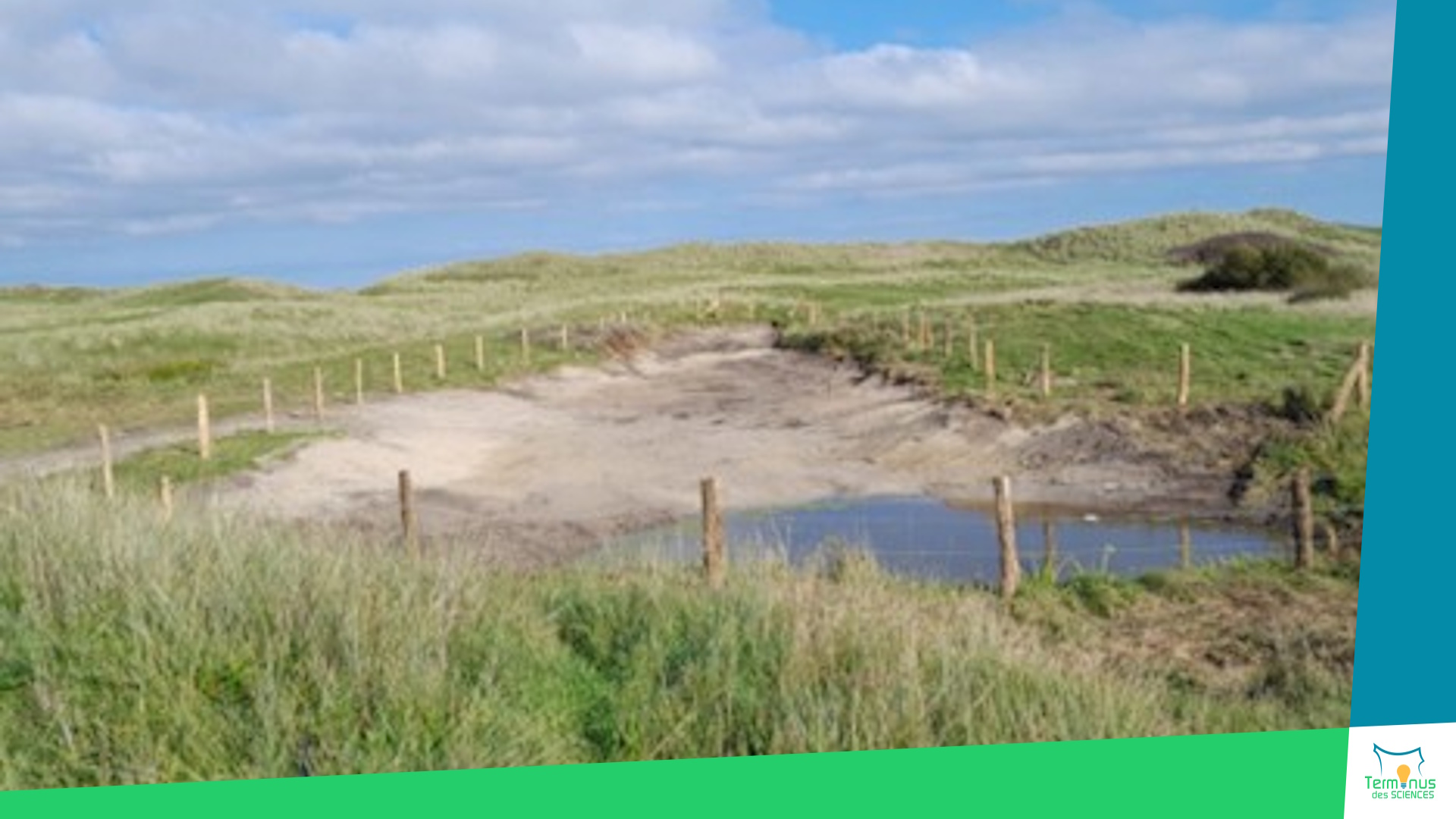 You are currently viewing [Les massifs dunaires : un écosystème intelligent]