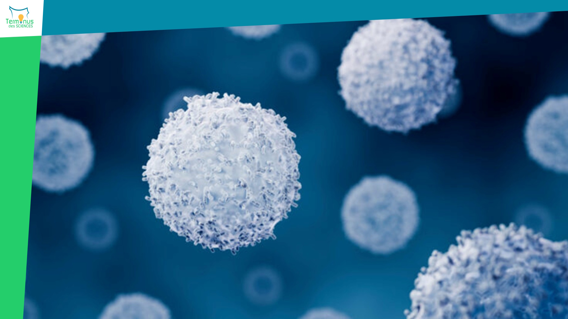 Lire la suite à propos de l’article [Prix Nobel de médecine 2025 : maîtriser le système immunitaire pour mieux soigner]