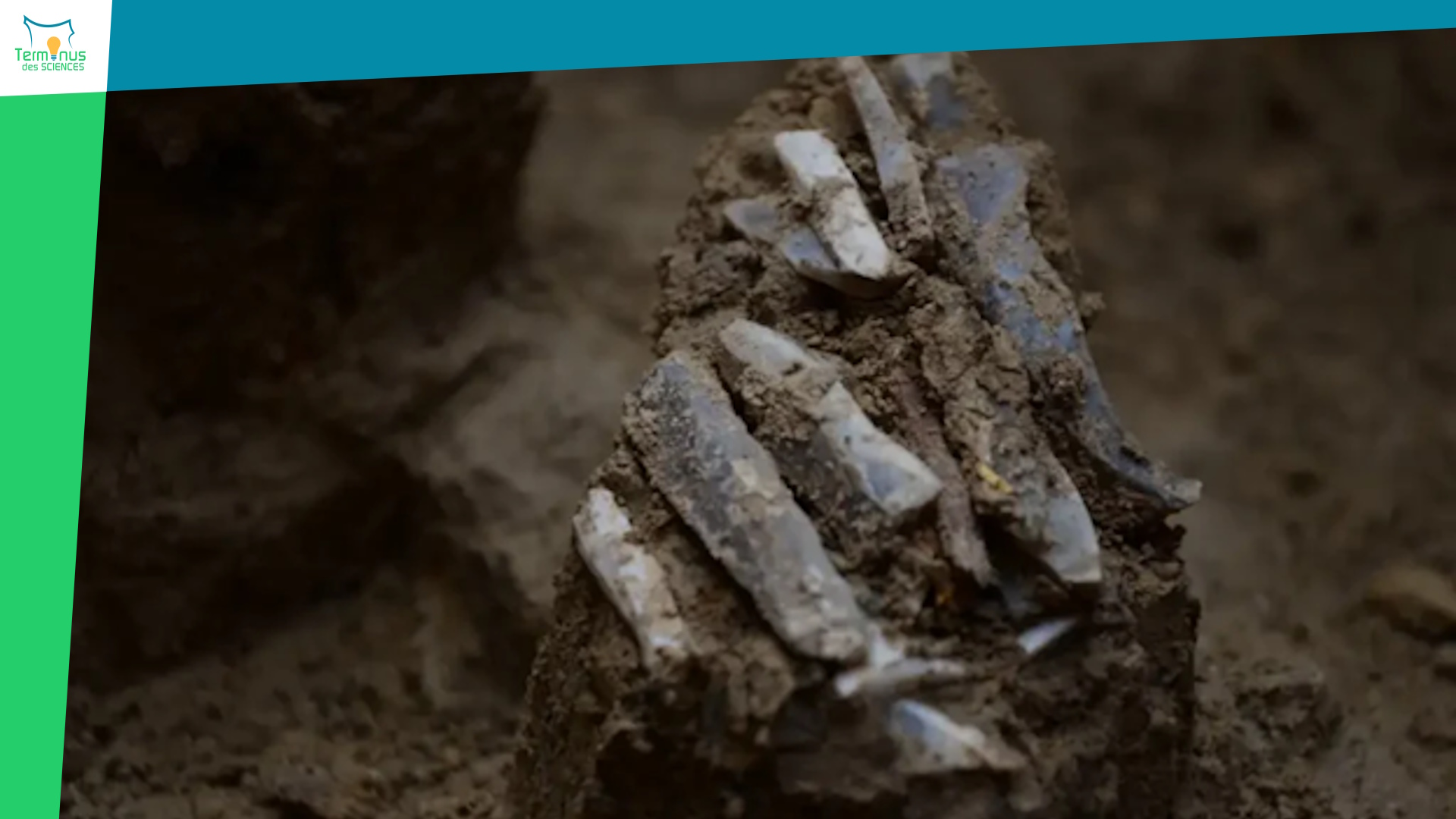 You are currently viewing [Le sac à dos oublié de l’Âge de Glace]