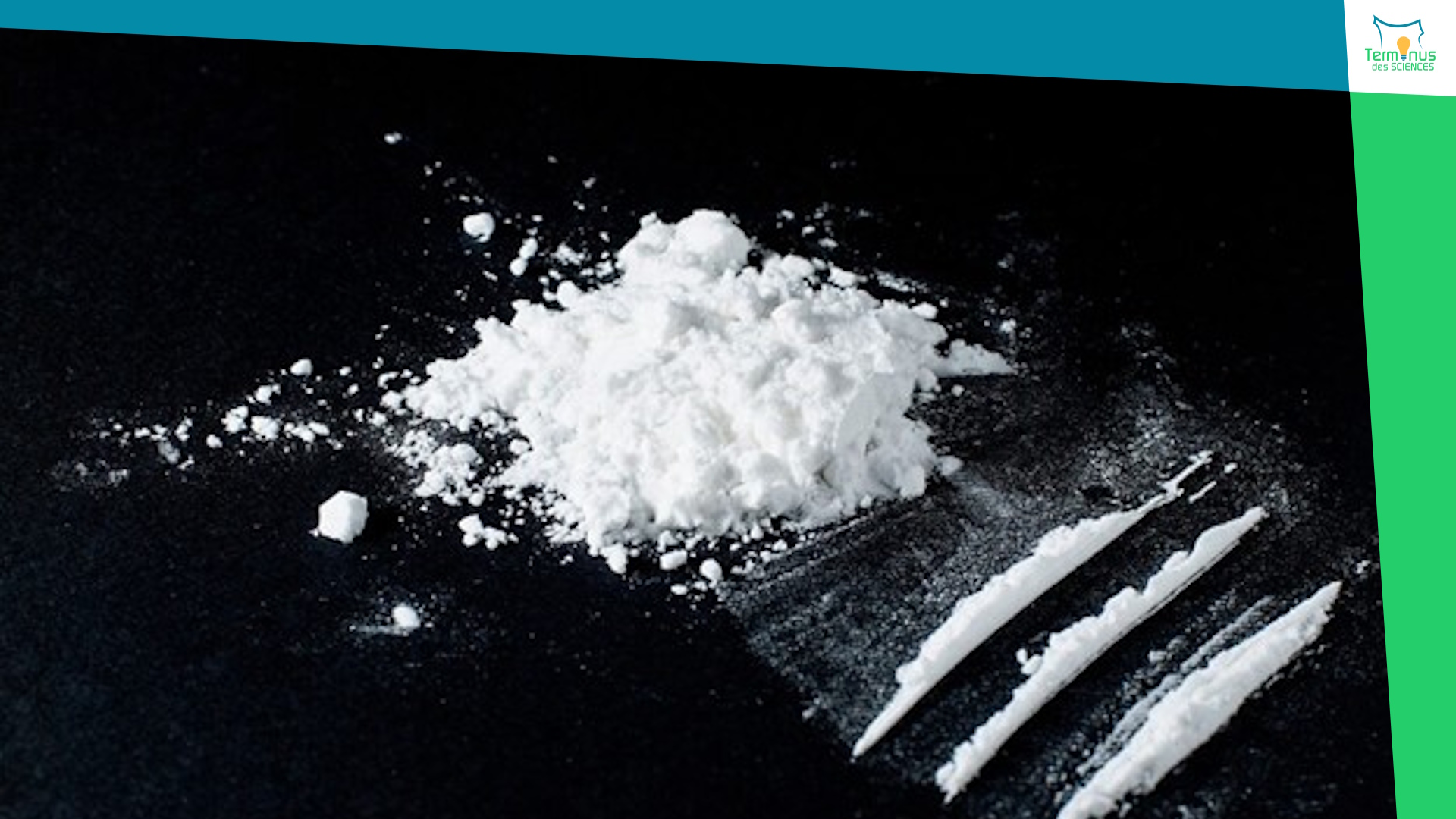 You are currently viewing [Cocaïne : origine, transformation chimique et effets sur le cerveau]