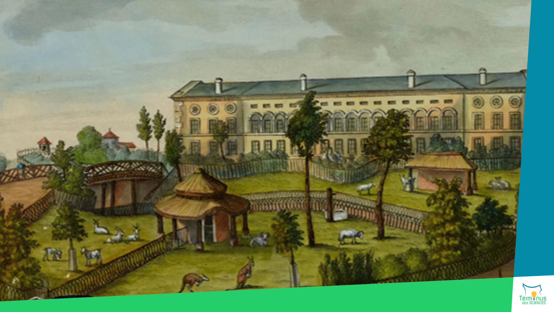 Lire la suite à propos de l’article [Série estivale sur le Muséum national d&rsquo;Histoire naturelle]