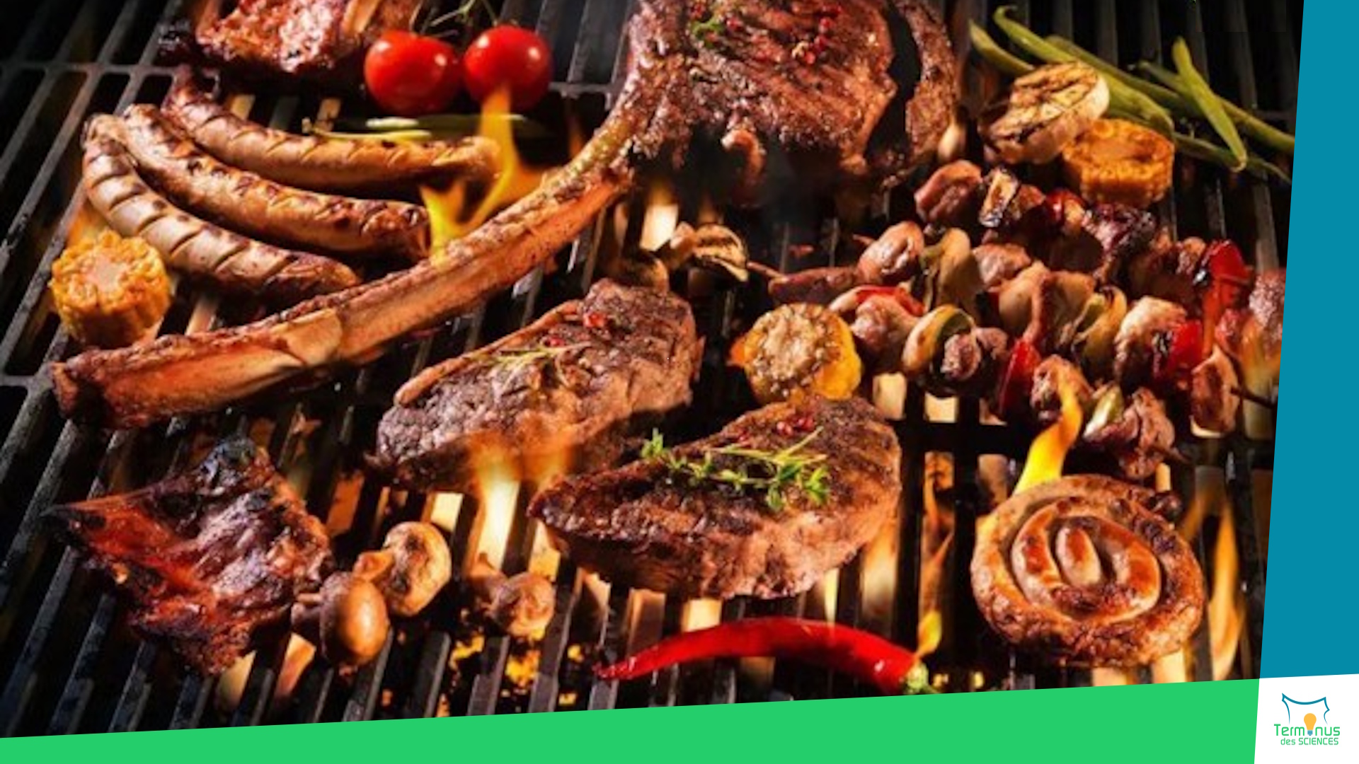 You are currently viewing [Pourquoi le barbecue donne-t-il un goût si particulier aux aliments ?]