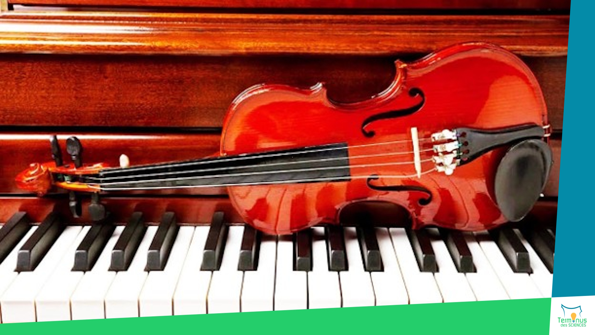 Lire la suite à propos de l’article [Les instruments à corde : quand la physique devient musique]