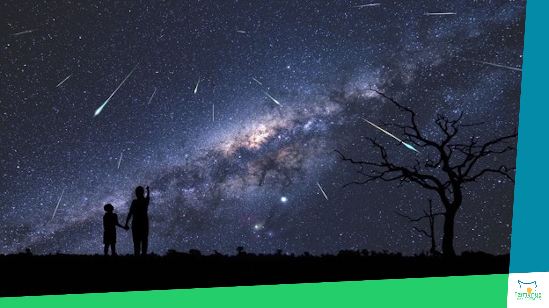 Lire la suite à propos de l’article [Étoiles filantes d’août : quand la Terre traverse la poussière d’une comète]